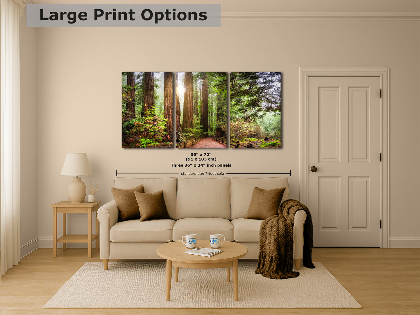 Redwood Trees Forest Picture Nature Photo, Forest Bathing in Muir Woods Wall Art for House Decor Gifts for Tree & Nature Lovers