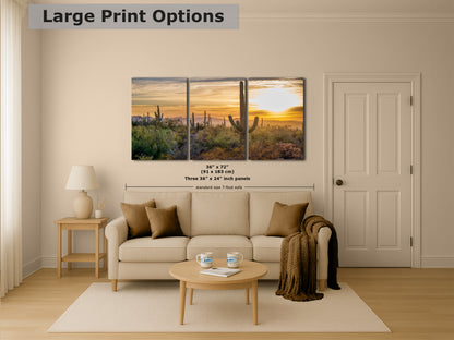 Saguaro National Park Arizona Desert Picture Sunset Nature Photo, Bohemian Style Relaxation Artwork, Southwestern Sonoran Desert House Decor