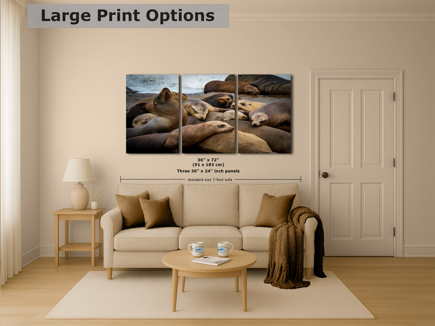 California Sea Lion Marine Mammal Wildlife Photography, Ocean Animals Wall Art, Nature Lover Gift, Marine Biology Artwork