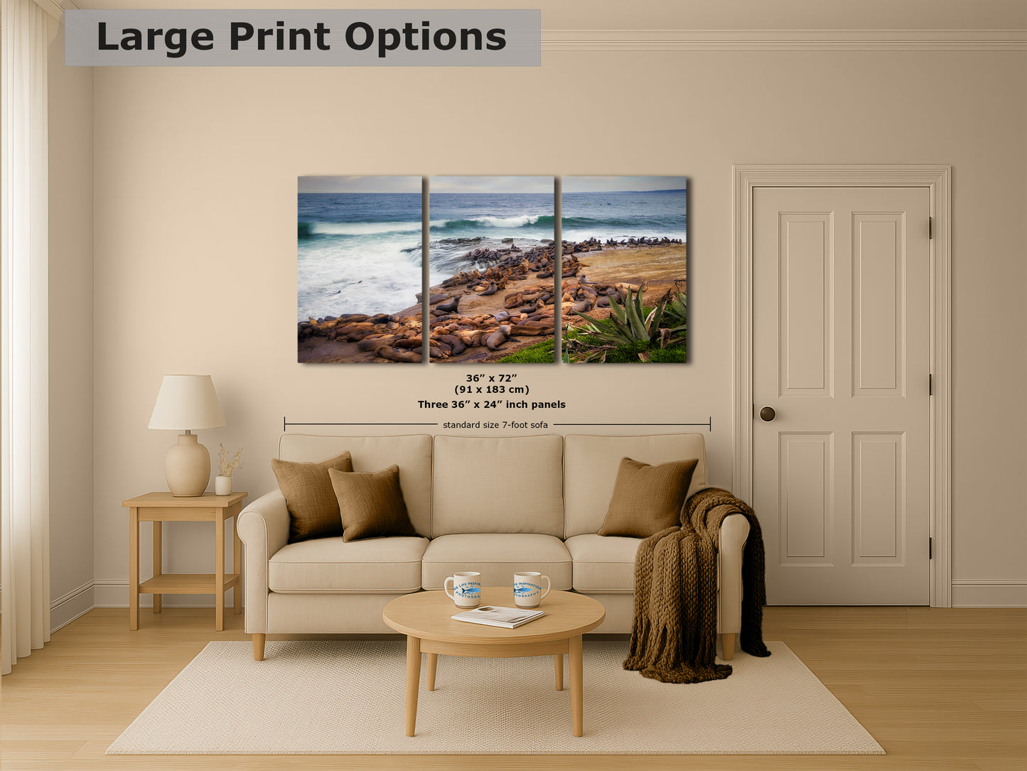 California Sea Lion Marine Mammal Wildlife Photography | Calming Nature Ocean Picture, Relaxation Artwork, La Jolla Coast, Nature Photo