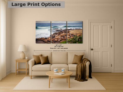 California Sea Lion Marine Mammal Wildlife Photography | Calming Nature Ocean Picture, Relaxation Artwork, La Jolla Coast, Nature Photo