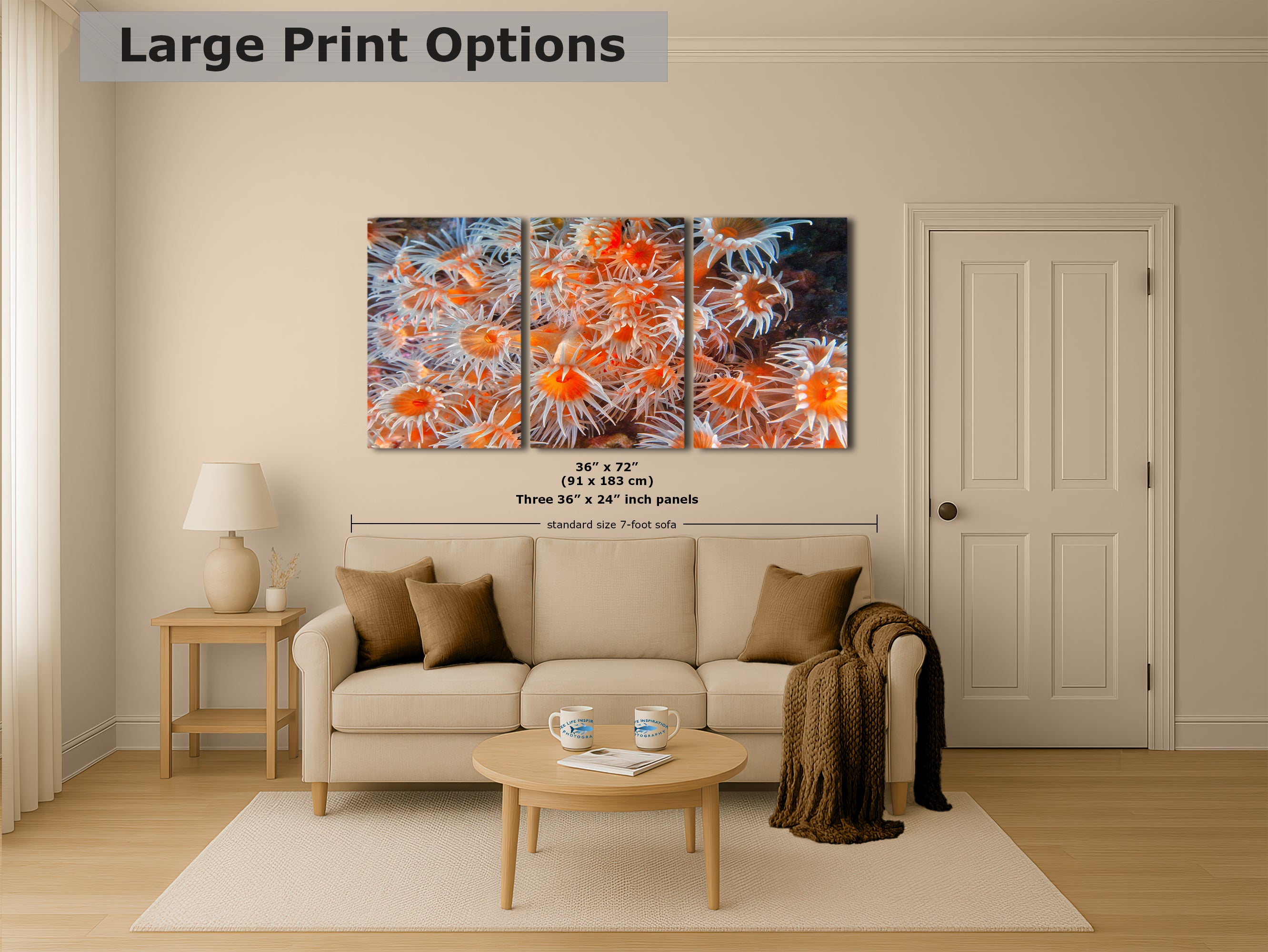 Sea Anemone Picture Ocean Life Underwater Scenery Nature Photo, Vibrant Coral Reef Wall Art, Marine Biology Gift for Ocean Lover