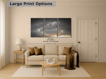 US Airforce Thunderbirds F-16 Fighting Falcon Aviation Artwork | Military Aviation Decor for Home & Office Display