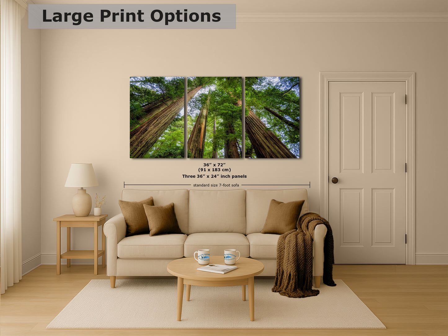 Redwood Trees Forest Picture Nature Photo | Forest Bathing Relaxation Decor for Meditation, House, and Office