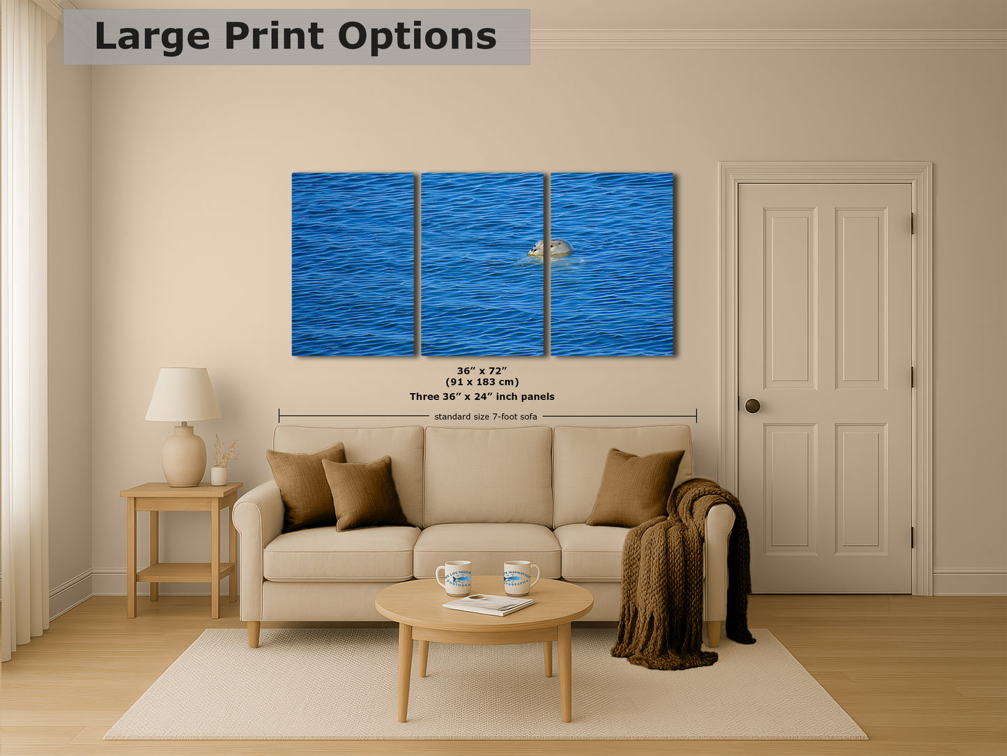 Seal Print Marine Mammal Wildlife Photography, Ocean Picture Relaxation Artwork Nature Photo
