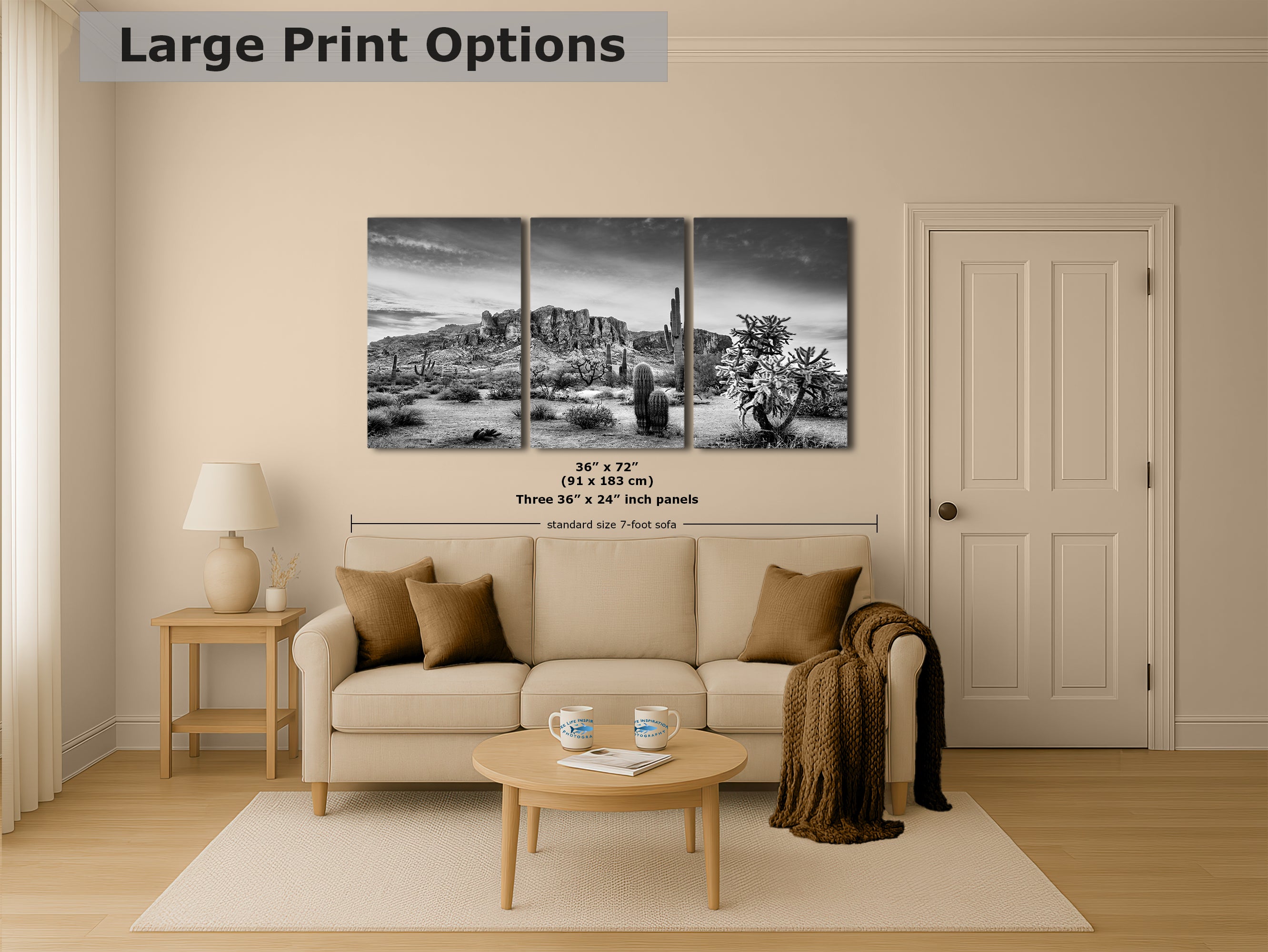 Arizona Desert Picture in Black and White, Saguaro Cactus Artwork Nature Photo, Southwestern Wall Art of Superstition Mountains at Lost Dutchman State Park