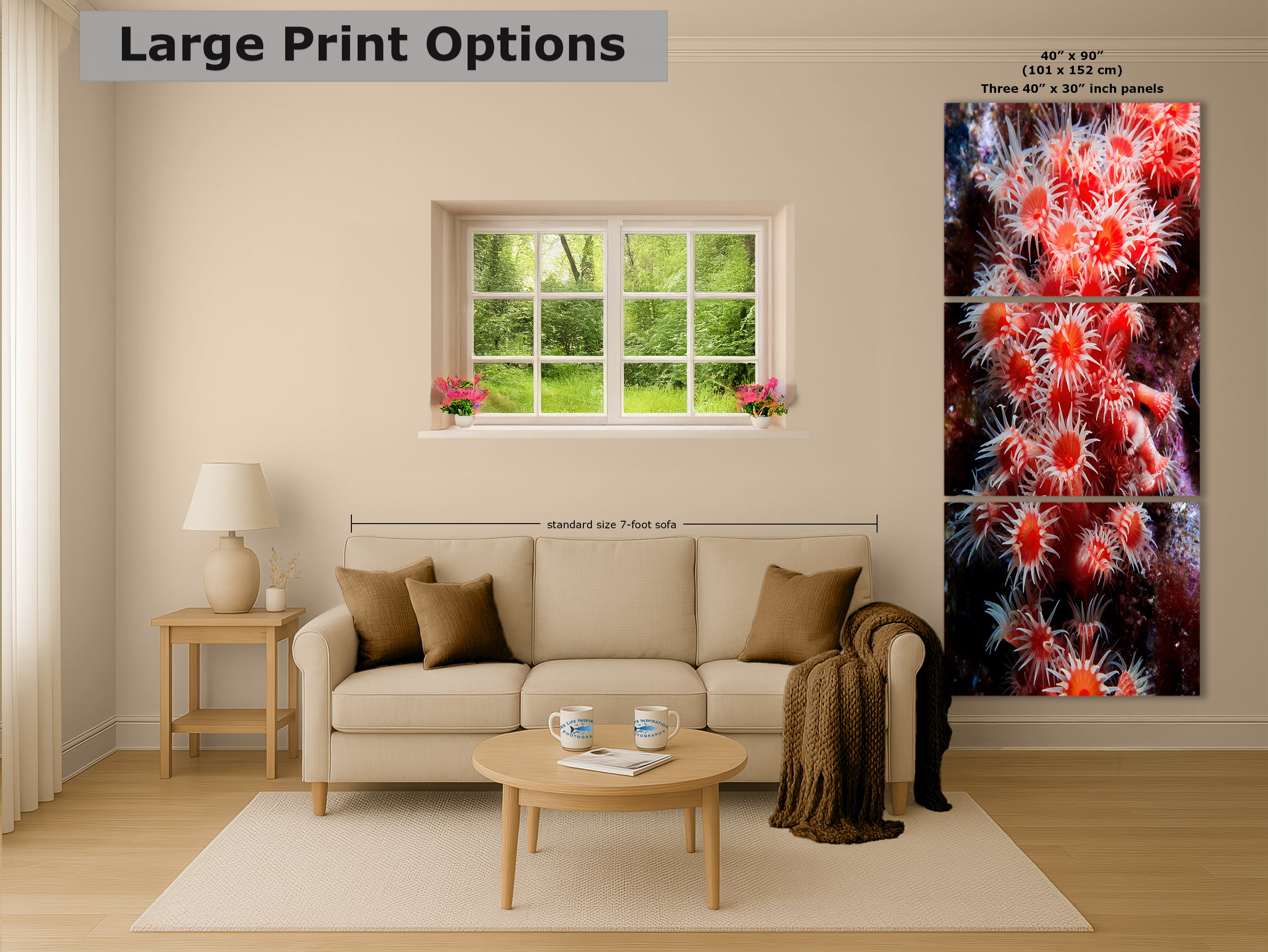 Sea Anemone Picture Ocean Life Underwater Scenery Nature Photo, Marine Biology Wall Art, Coral Reef Decor, Office & Dorm Room Decoration