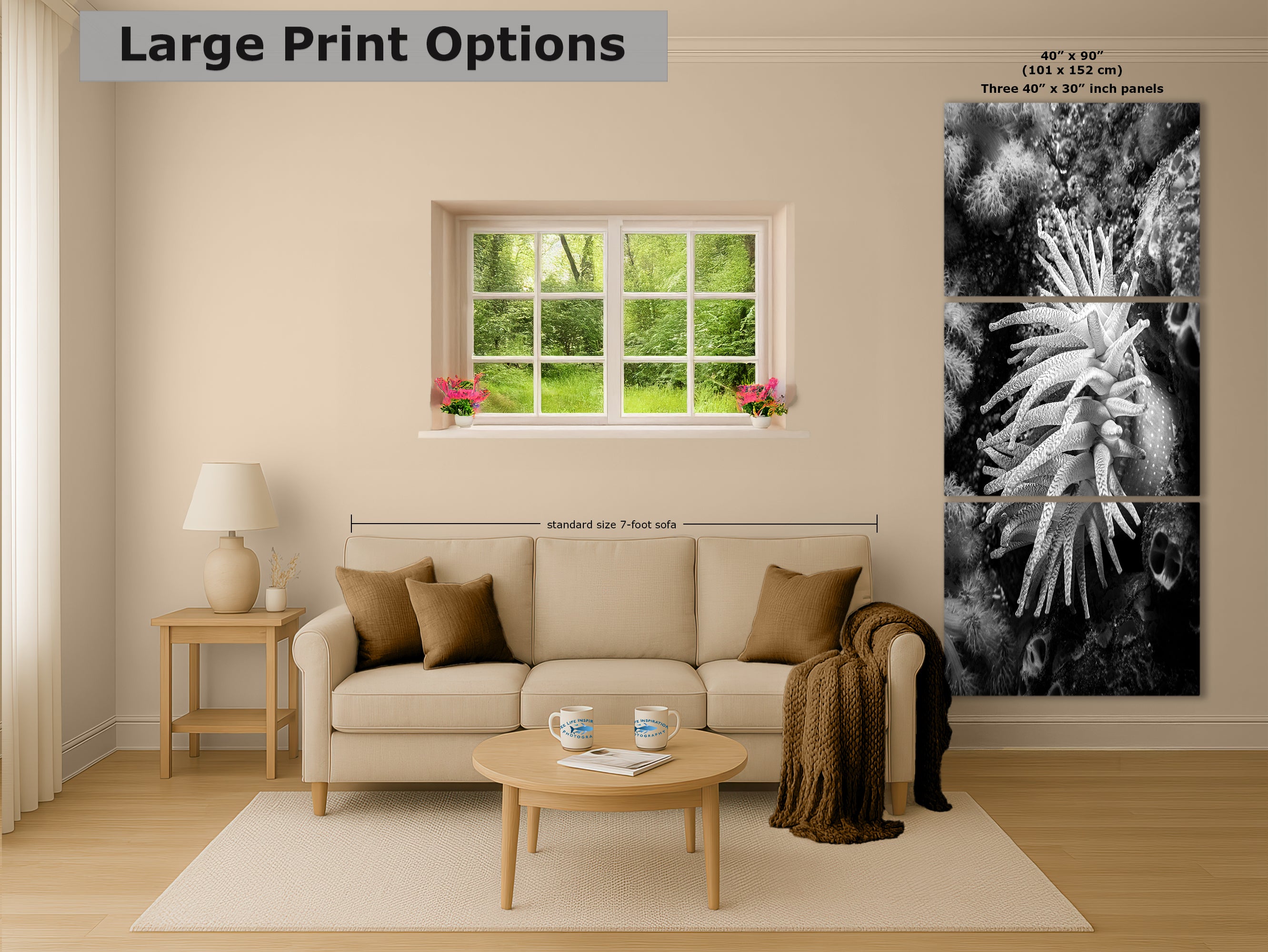 Sea Anemone Picture Ocean Life Underwater Scenery Nature Photo Black and White Art for Marine Biology, Ocean Lovers, and Relaxation Decor