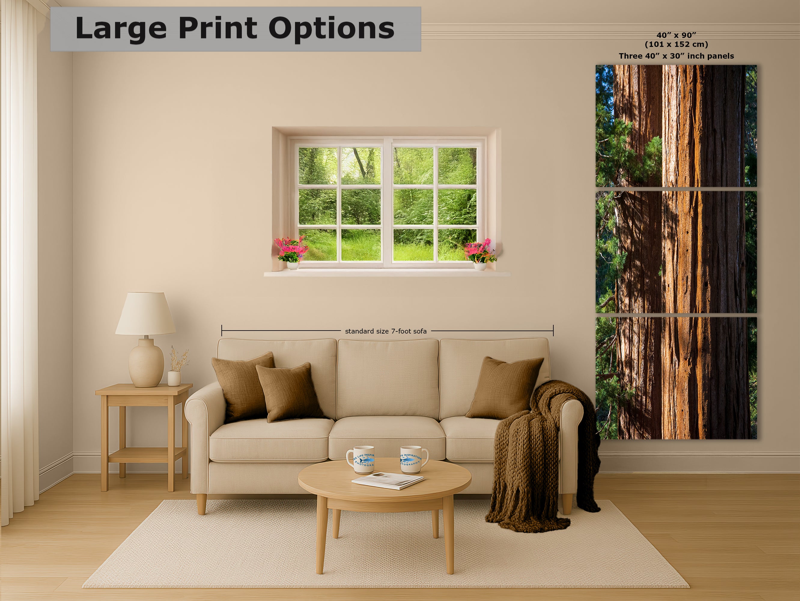 Giant Sequoia Tree Forest Picture Nature Photo, Redwood Trees Wall Art, Forest Bathing National Park Poster, Relaxation Decor
