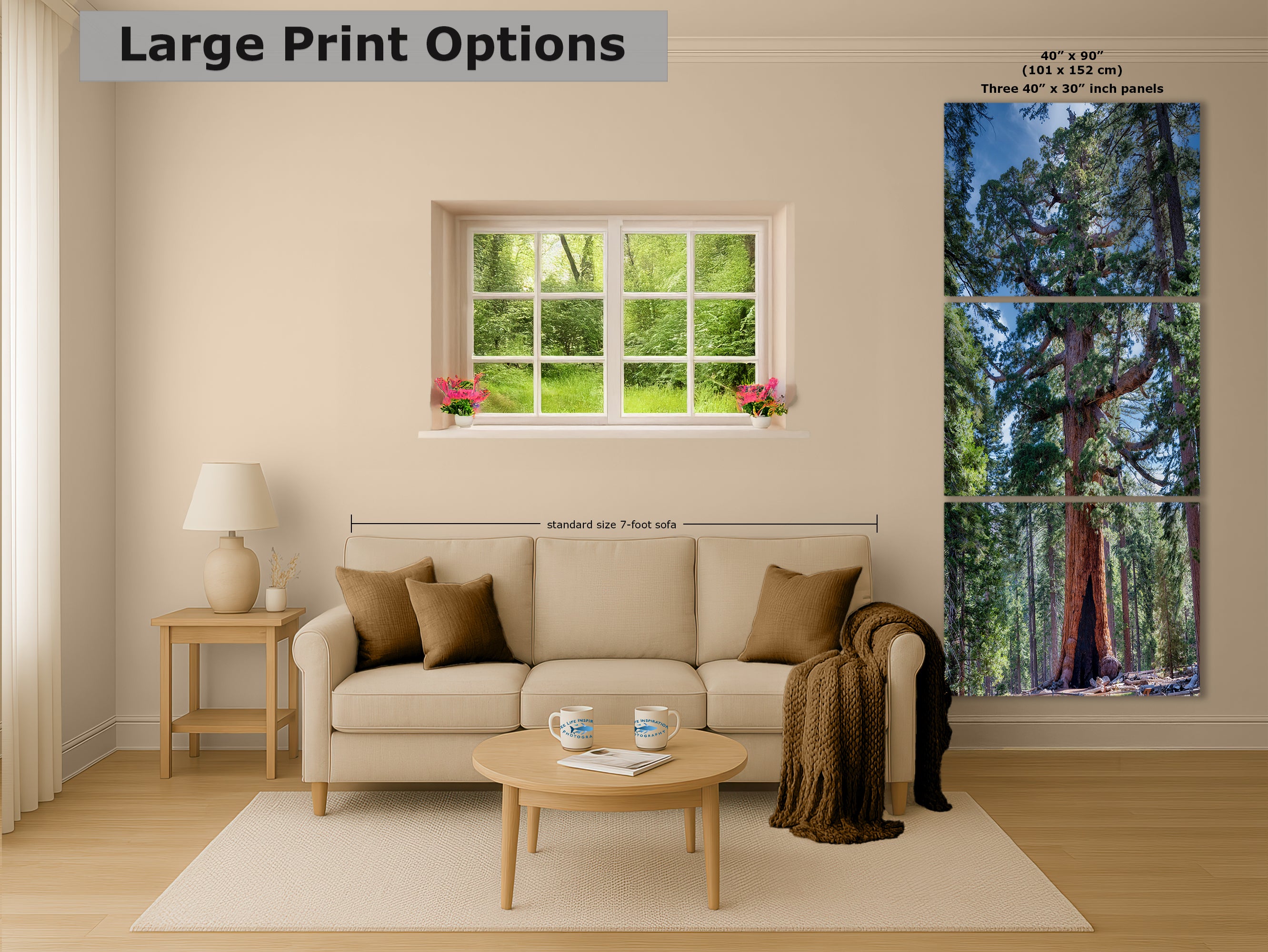 Giant Sequoia Tree Forest Picture Nature Photo, Yosemite Redwood Trees, Mariposa Grove Tree Hugger Decor, Forest Bathing for Relaxation