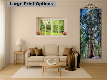 Giant Sequoia Tree Forest Picture Nature Photo, Yosemite Redwood Trees, Mariposa Grove Tree Hugger Decor, Forest Bathing for Relaxation