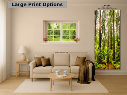 Redwood Trees Forest Picture Nature Photo, Forest Bathing House Decor, Relaxing Wall Art for Meditation, Home and Office