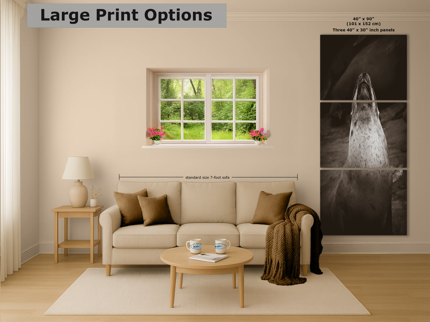 California Sea Lion Marine Mammal Wildlife Photography, Ocean Animals, Coastal House Decor, Nature Lover Gift, Marine Biology Artwork