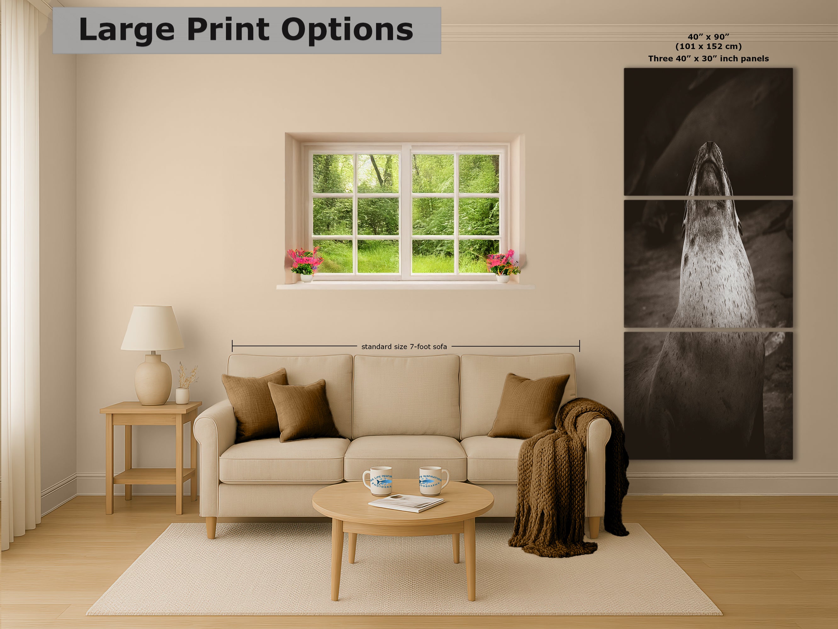 California Sea Lion Marine Mammal Wildlife Photography, Ocean Animals, Coastal House Decor, Nature Lover Gift, Marine Biology Artwork