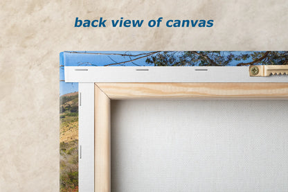 a picture of a view of the back view of canvass