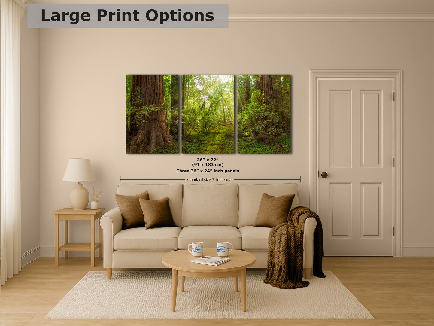 Redwood Tree Wall Art - Panoramic Forest Picture Nature Photo