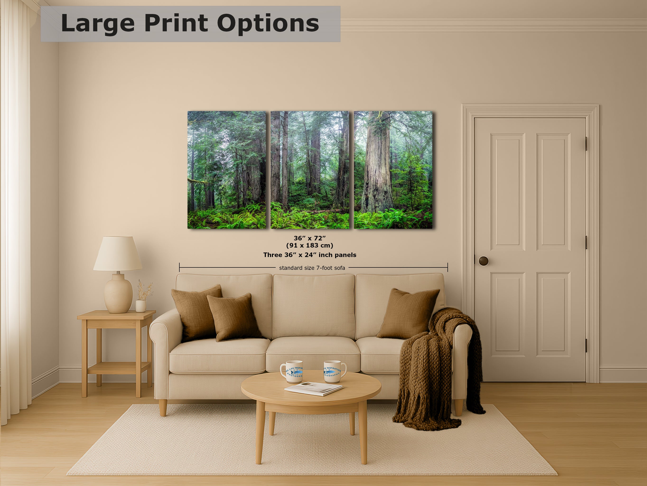 Redwood Trees Forest Picture Nature Photo, Forest Bathing in Misty California Redwoods Wall Art, for Relaxation in the Home and Office