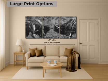 Buffalo Artwork Wildlife Photography, Black and White Bison Wall Decor, Rustic Cabin Animal Print, Nature Wall Art for Home or Office