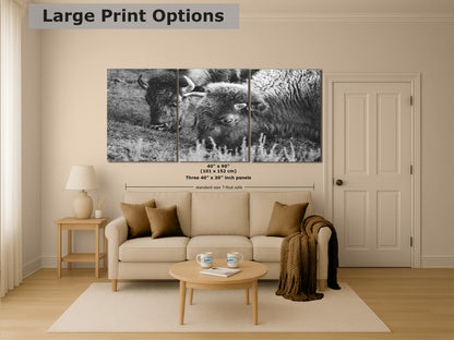 Grazing Buffalo Artwork Wildlife Photography, Black and White Bison Wall Decor, Rustic Cabin Animal Print, Nature Wall Art for Home or Office