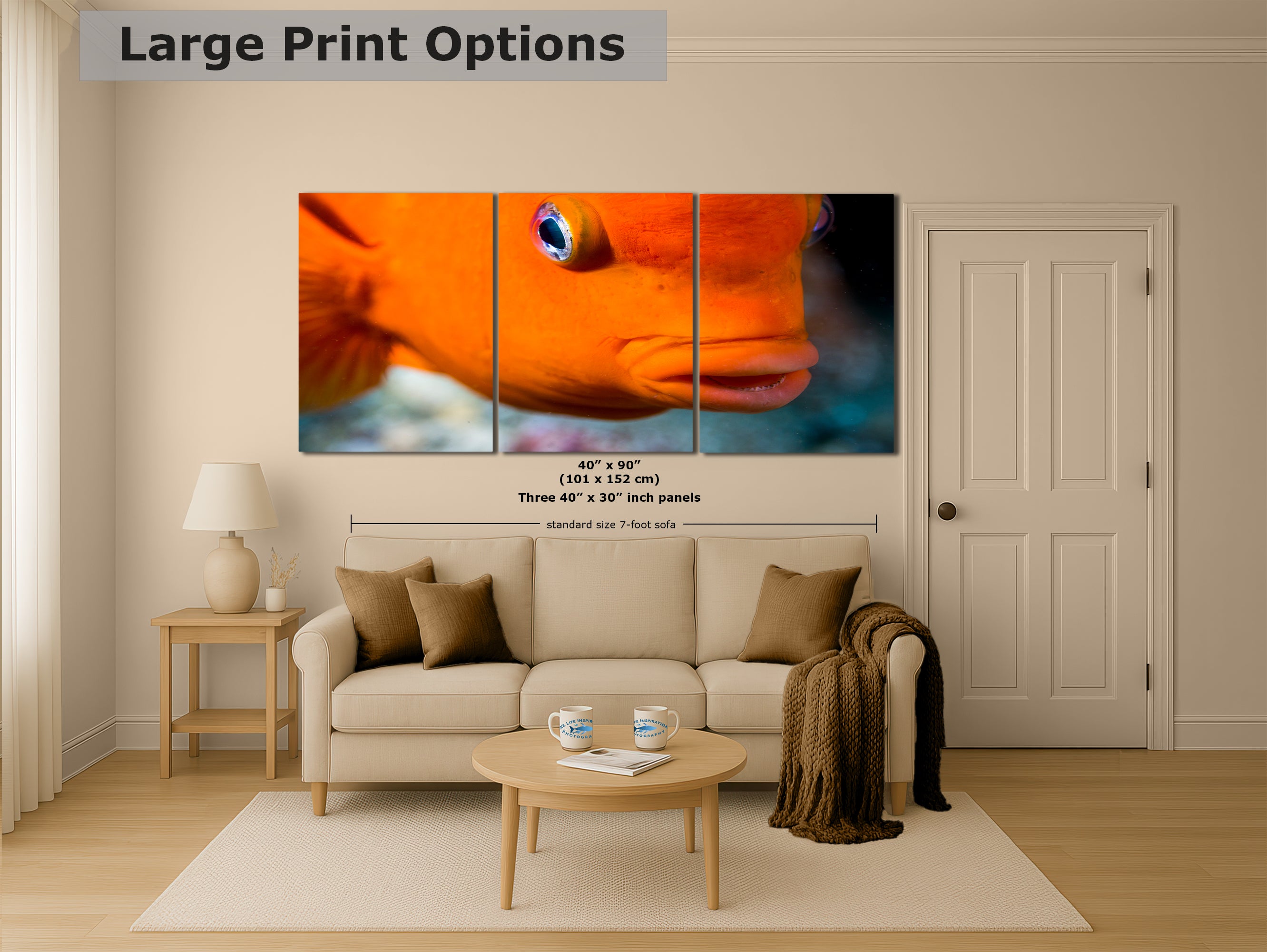 Garibaldi Fish Marine Biology Ocean Life, Underwater Scenery Nature Photo, California Marine Inhabitant, Nature Decor, Relaxation Artwork