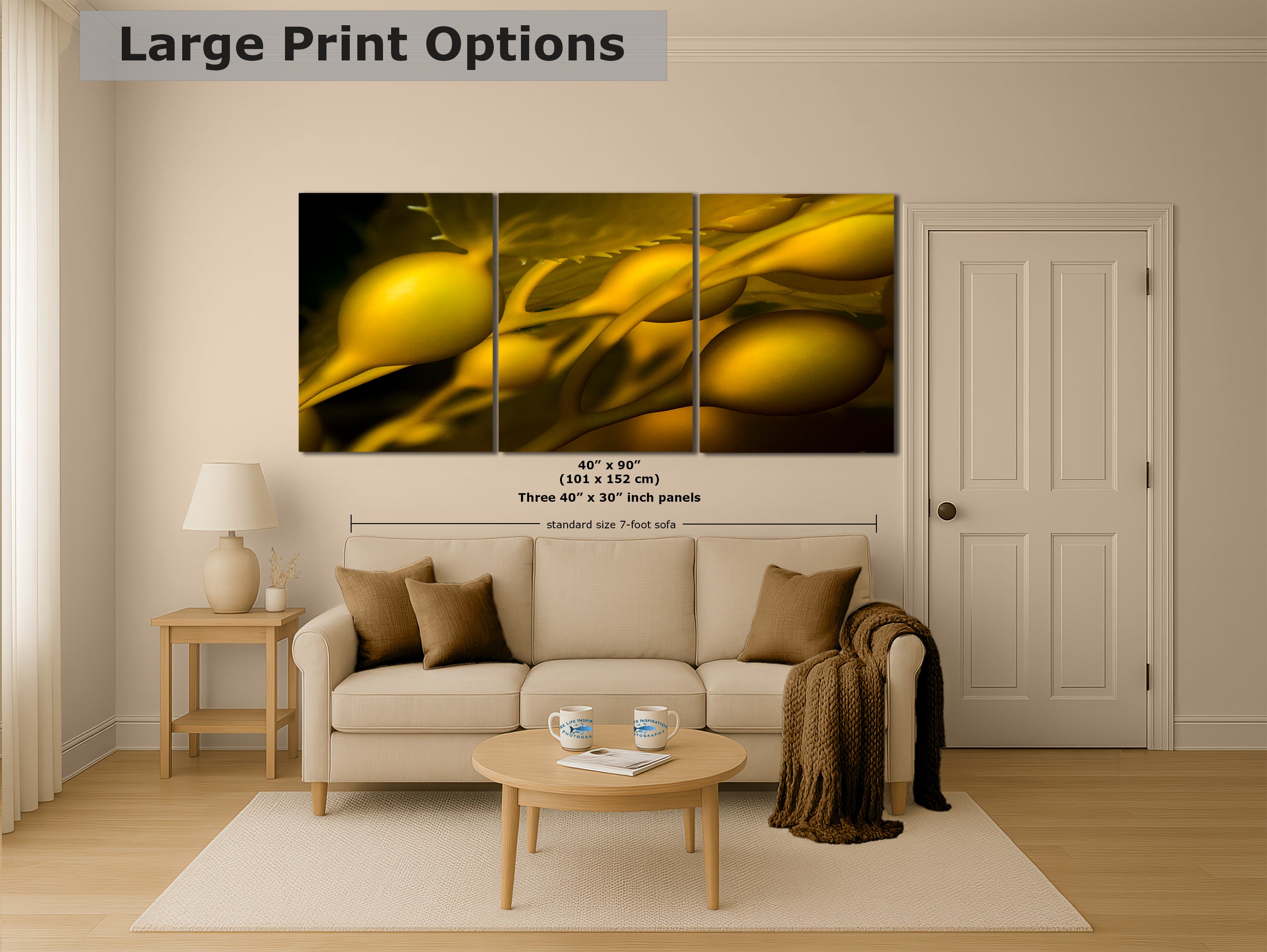 Kelp Forest Seaweed Pictures Underwater Scenery, Ocean Life Marine Biology Nature Photo Relaxation Artwork Decor for Office Dorm Room Decor