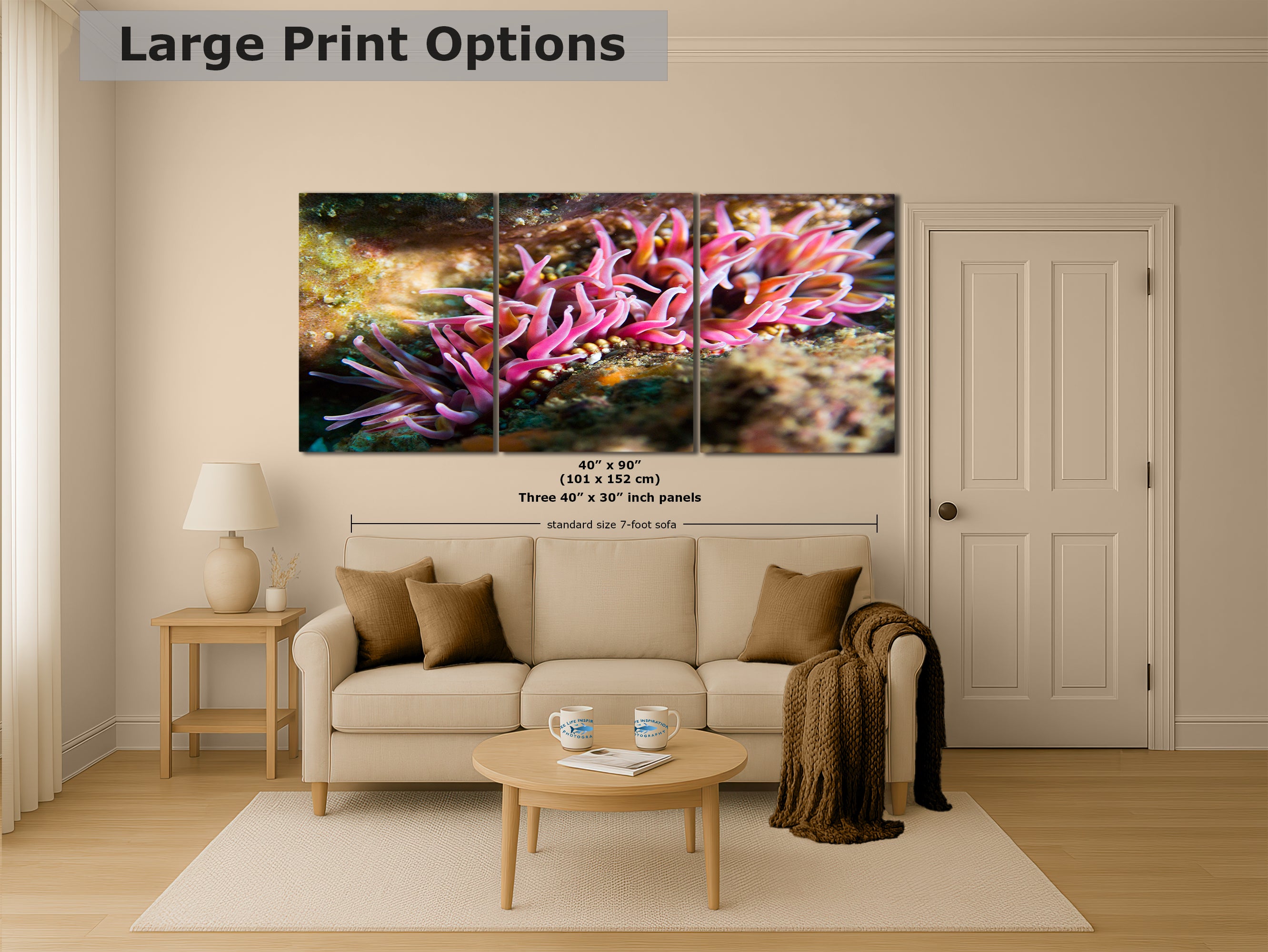 Sea Anemone Picture Ocean Life Underwater Scenery Nature Photo, Marine Biology Coral Reef Art, Vibrant Marine Wildlife Wall Decor