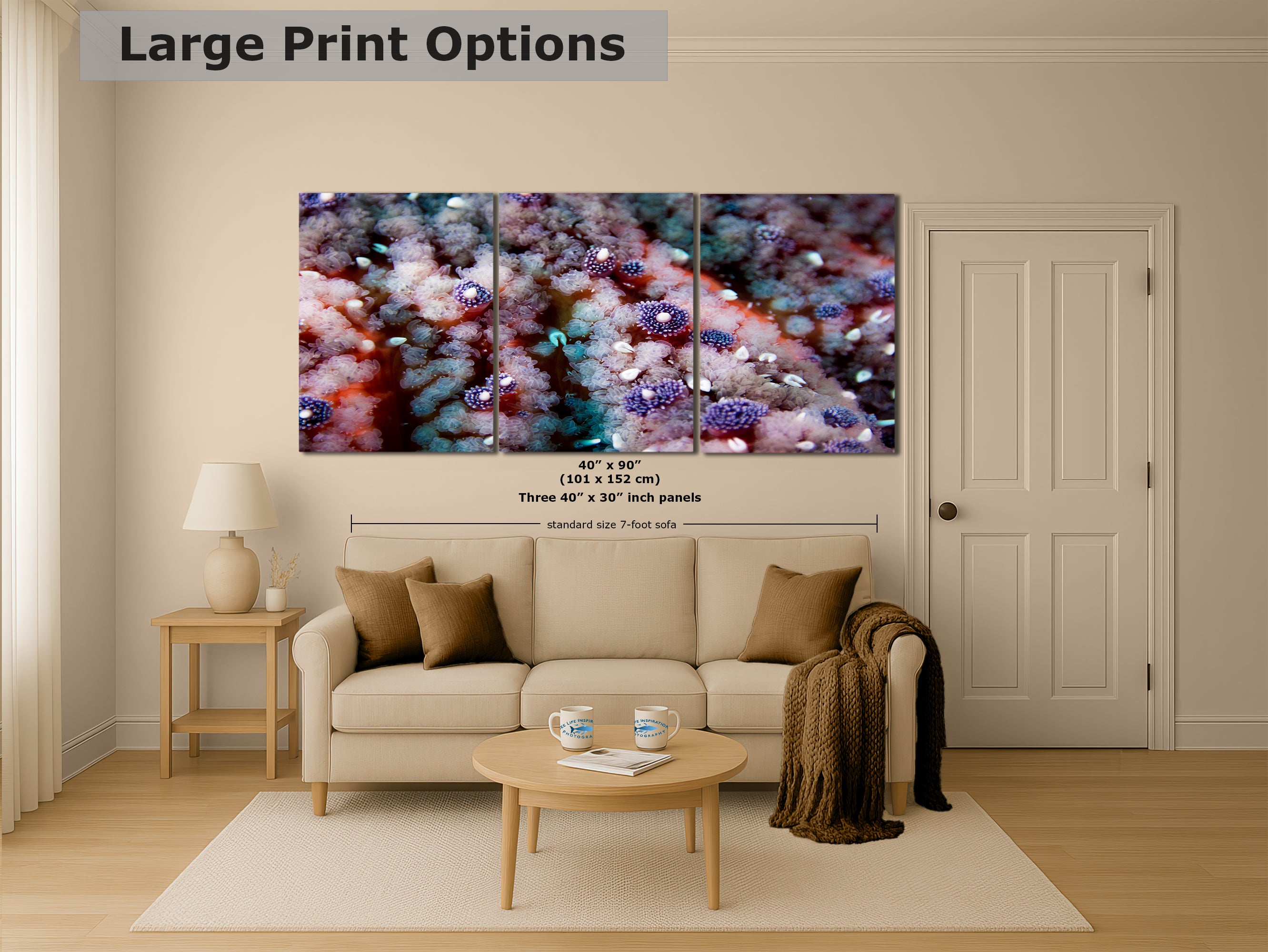 Ocean Life Starfish Photo, Marine Biology Underwater Scenery, Vibrant Coral Reef, Nature Photography for Office Decor, Relaxation Artwork