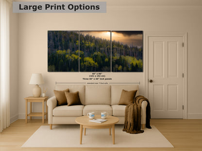Aspen Tree Forest Picture Nature Photo, Forest Bathing Relaxation Artwork Dopamine Decor for Meditation, Bedroom, Living Room, and Office