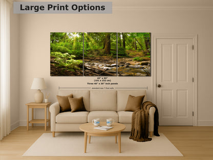 Redwood Trees Forest Picture Nature Photo, Forest Bathing in Santa Cruz California Coast Wall Art, Relaxing Artwork for House Decor & Office