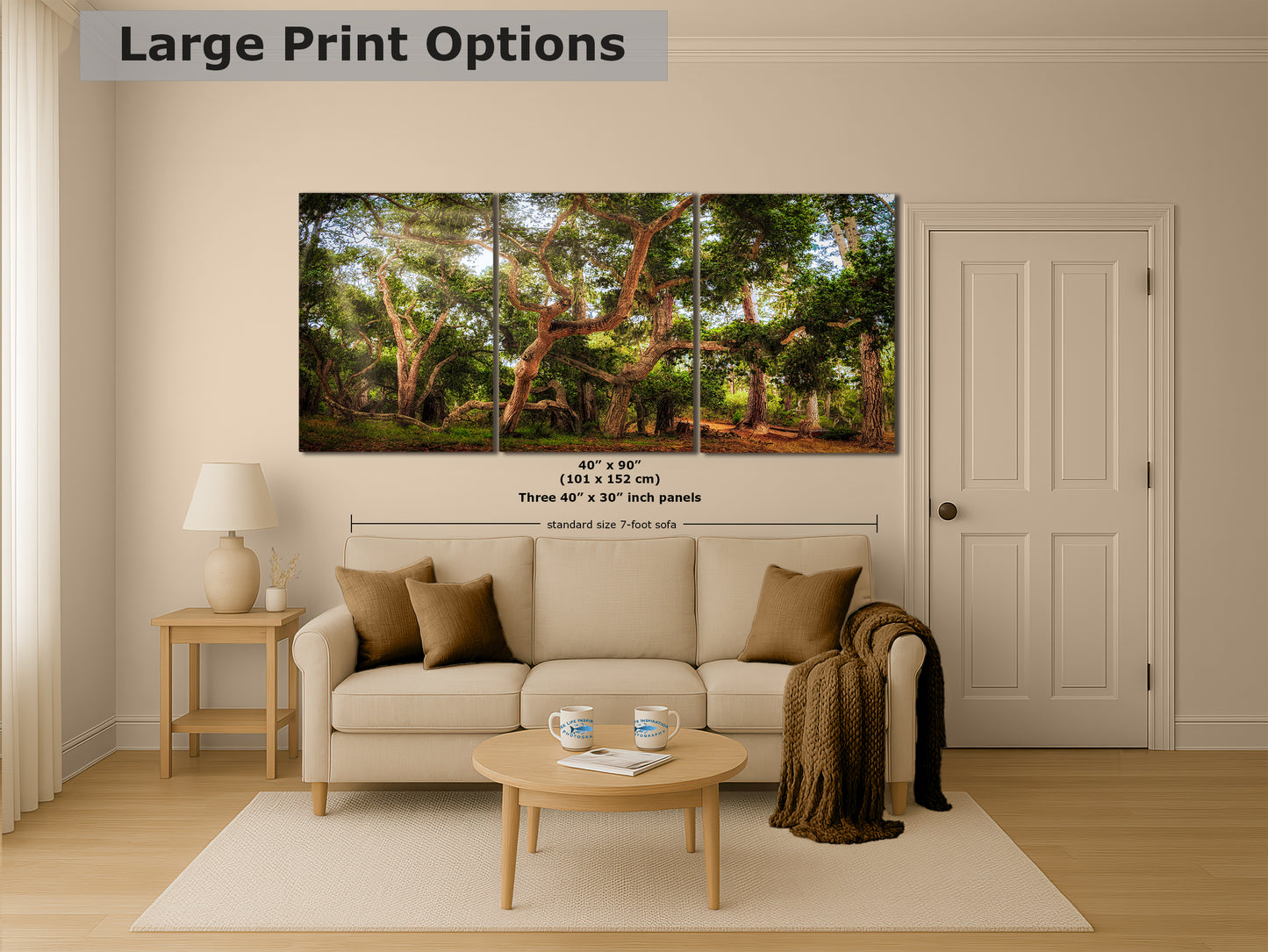 Coast Live Oak Forest Picture Nature Photo House Decor, Forest Bathing for Meditation, Relaxation, Dorm Room Decor