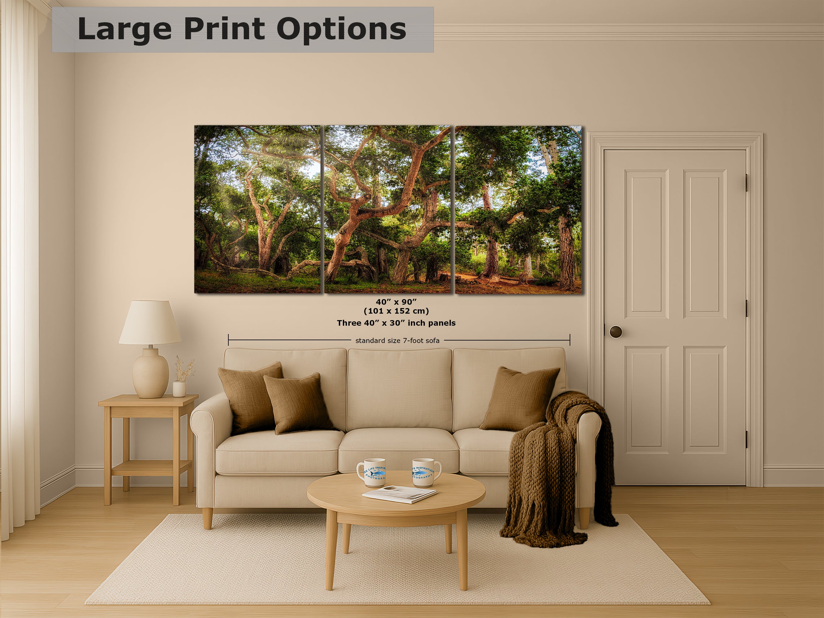 Coast Live Oak Forest Picture Nature Photo House Decor, Forest Bathing for Meditation, Relaxation, Dorm Room Decor