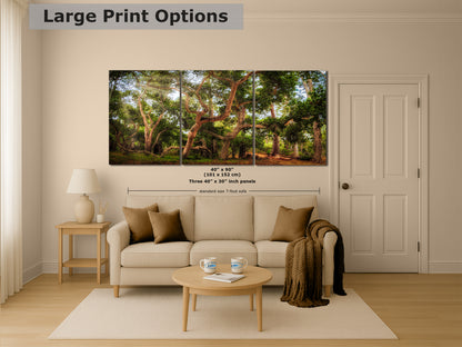Coast Live Oak Forest Picture Nature Photo House Decor, Forest Bathing for Meditation, Relaxation, Dorm Room Decor