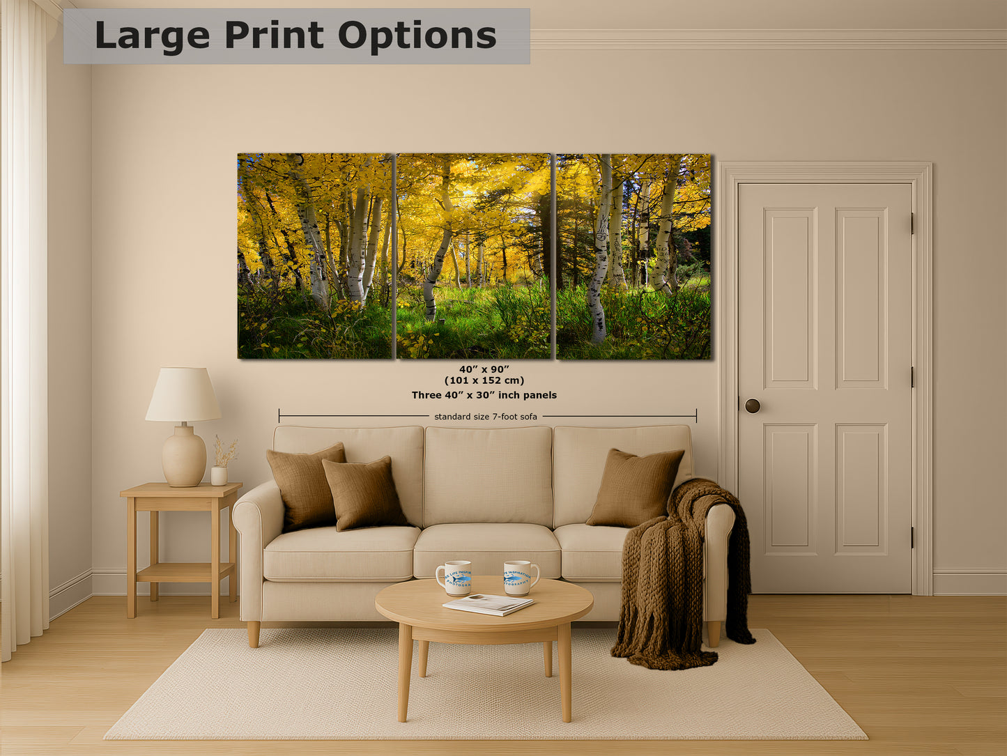 Aspen Tree Forest Picture Nature Photo, Forest Bathing Relaxation Artwork, Fall Colors Autumn for Meditation, Office and House Decor