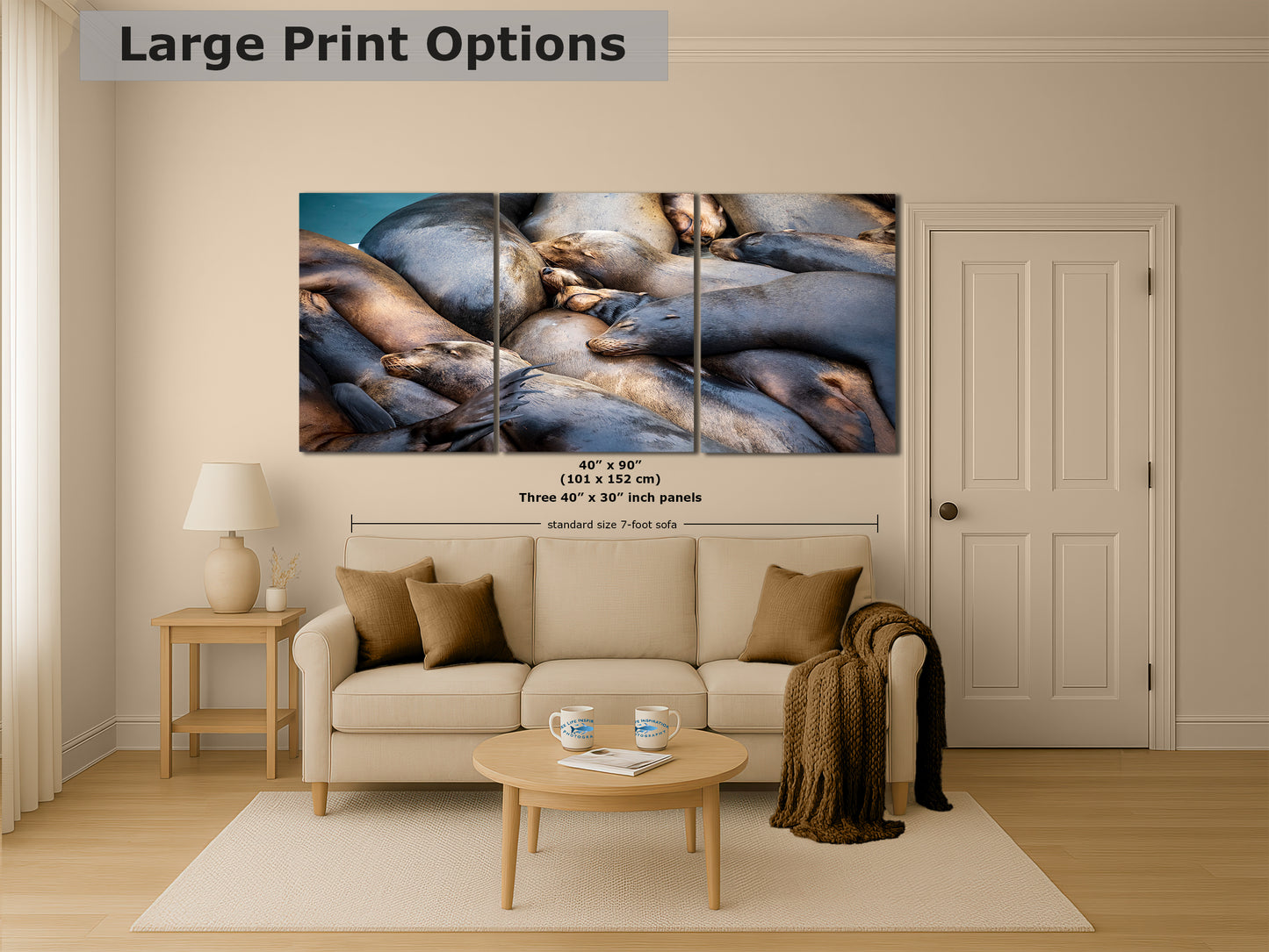 California Sea Lion Marine Mammal Wildlife Photography Wall Art - Ocean Animals Nursery Decor Coastal Home Artwork, Marine Biology Print