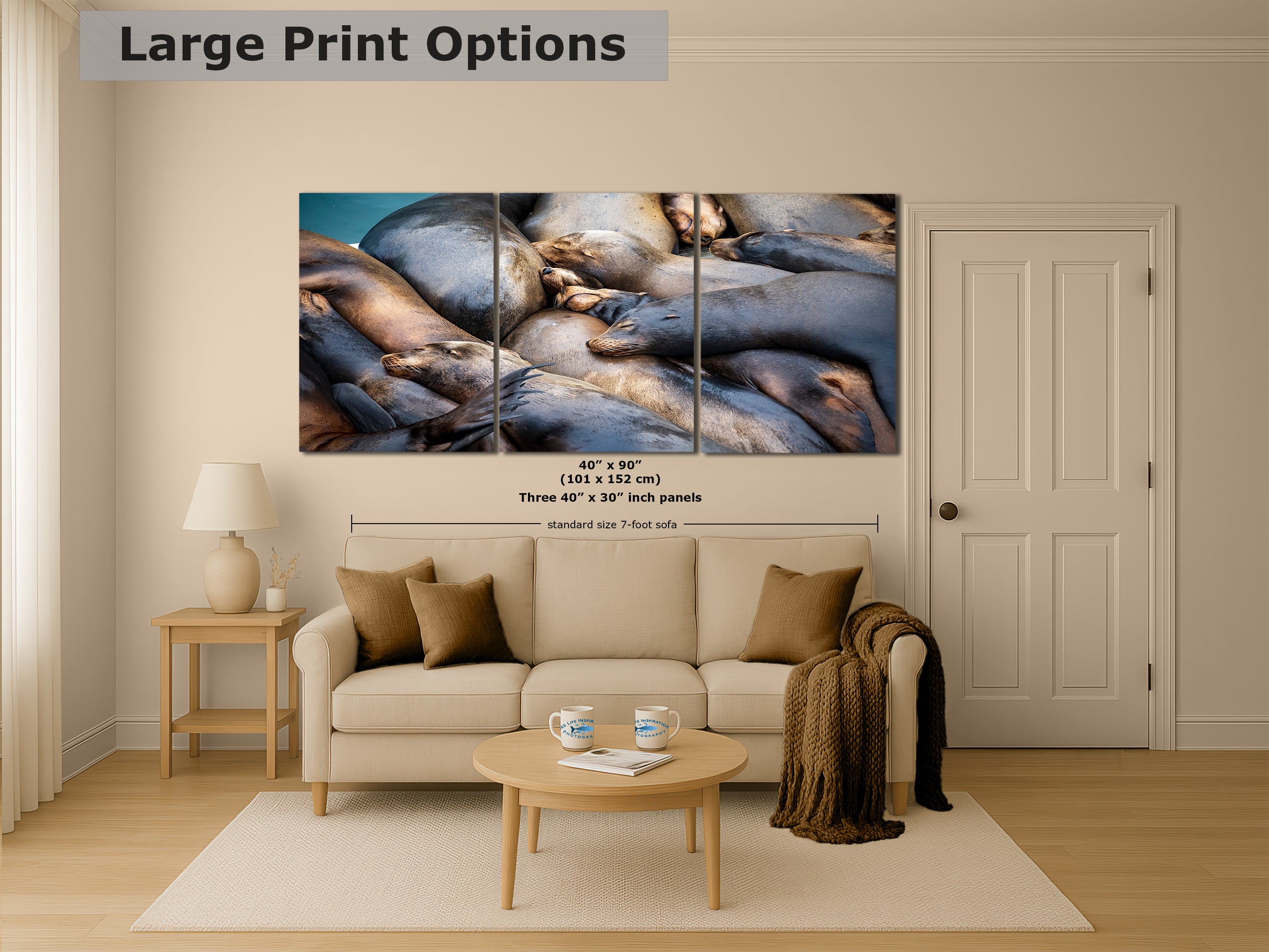 California Sea Lion Marine Mammal Wildlife Photography Wall Art - Ocean Animals Nursery Decor Coastal Home Artwork, Marine Biology Print