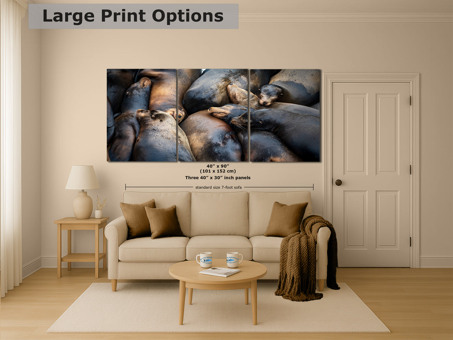 California Sea Lion Marine Mammal Wildlife Photography, Ocean Animals Nursery Decor, Relaxation Artwork for Beach-Themed Rooms