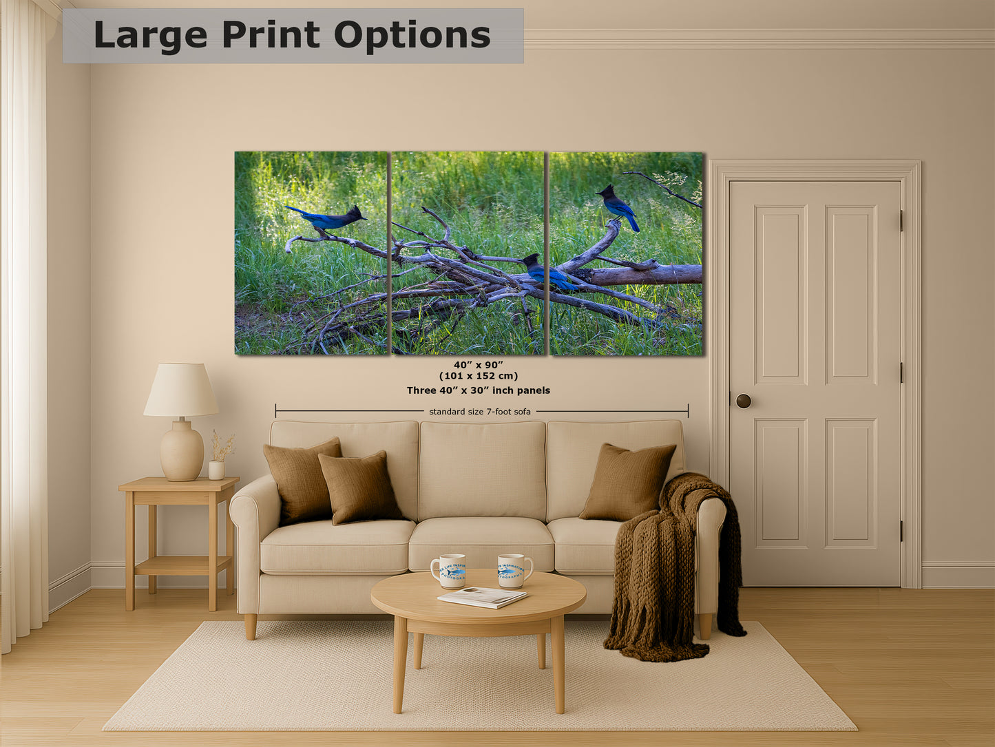 Steller Jay Wildlife Photography Print, Bird Wall Art, Nature Photography, Blue Bird Picture, Relaxing Dorm Room or Office Wall Art