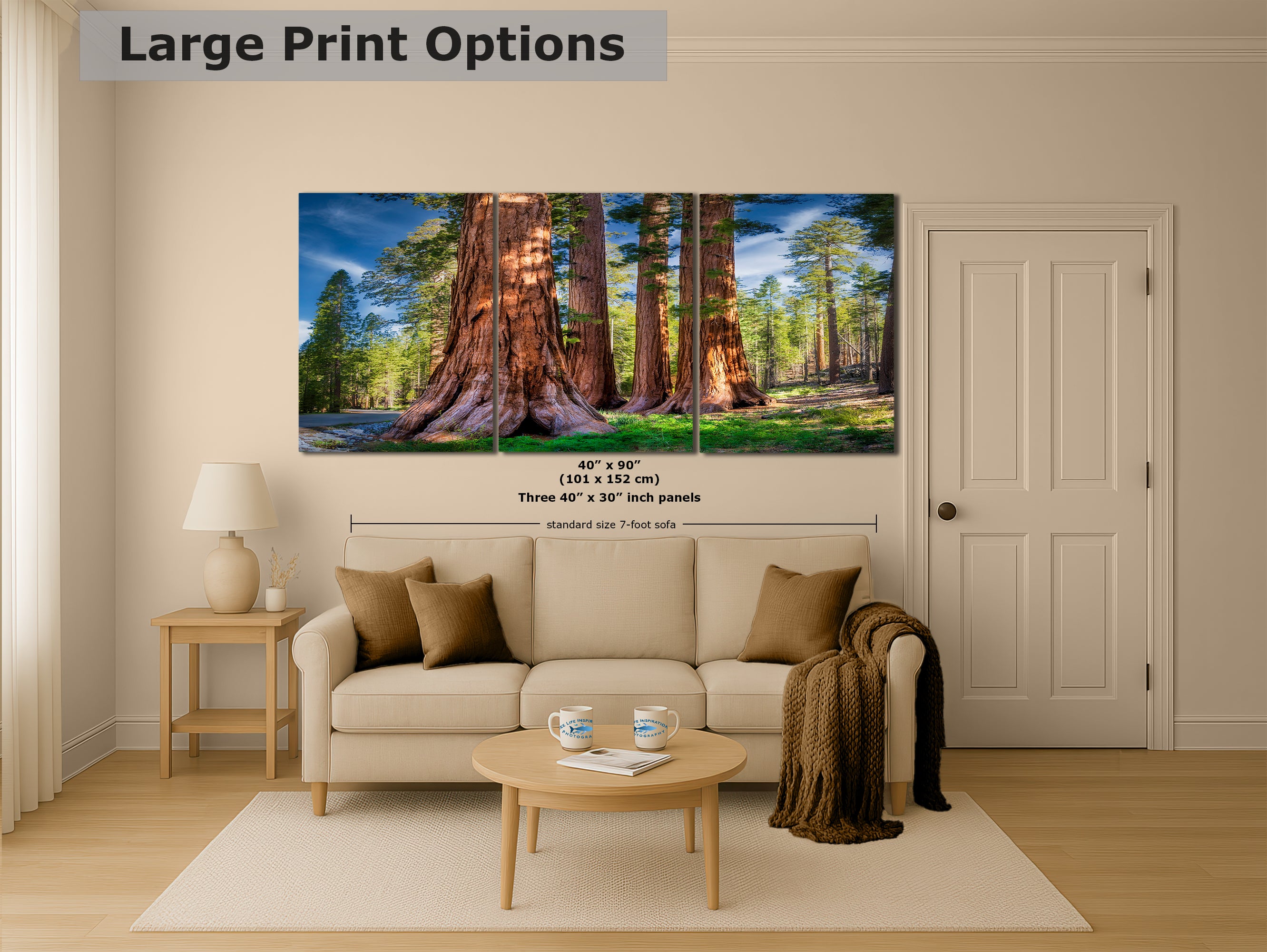 Giant Sequoia Tree Forest Picture Nature Photo, Redwood Trees Forest Bathing for Relaxation and Meditation in Living Room and Office