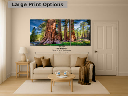 Giant Sequoia Tree Forest Picture Nature Photo, Redwood Trees Forest Bathing for Relaxation and Meditation in Living Room and Office