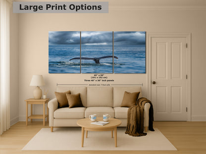Humpback Whale Marine Mammal Wildlife Photography | Monterey Bay Ocean Scene Art Print for Nature Lovers and Marine Conservation Decor