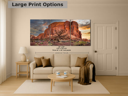Monument Valley Arizona Desert Picture Cactus Nature Photo, Bohemian Style Relaxation Artwork for Meditation, Apartment, Office & House Decor