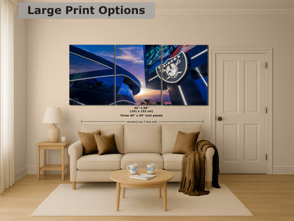 Las Vegas Raiders Football Decor, Allegiant Stadium Photograph Poster, NFL Man Cave, Dorm Room & Office Wall Art