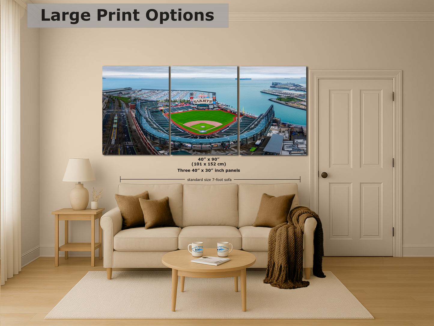 San Francisco Giants Baseball Stadium, Oracle Park Canvas Print