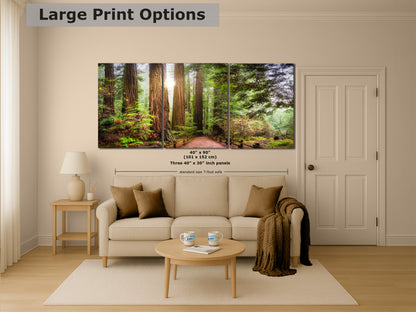 Redwood Trees Forest Picture Nature Photo, Forest Bathing in Muir Woods Wall Art for House Decor Gifts for Tree & Nature Lovers
