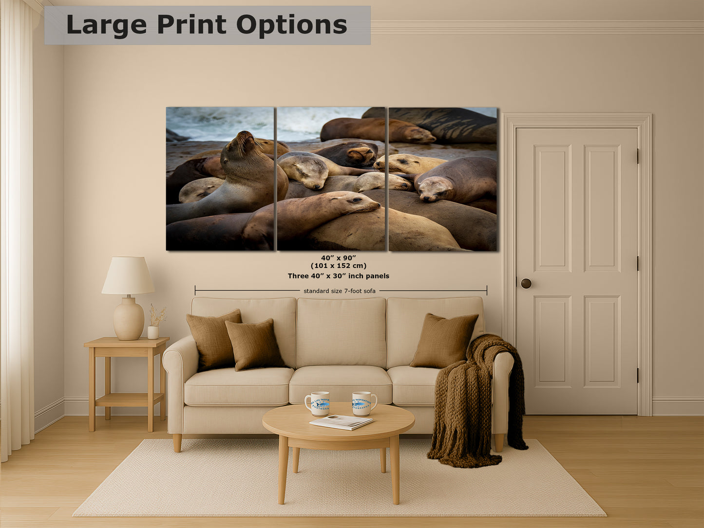 California Sea Lion Marine Mammal Wildlife Photography, Ocean Animals Wall Art, Nature Lover Gift, Marine Biology Artwork