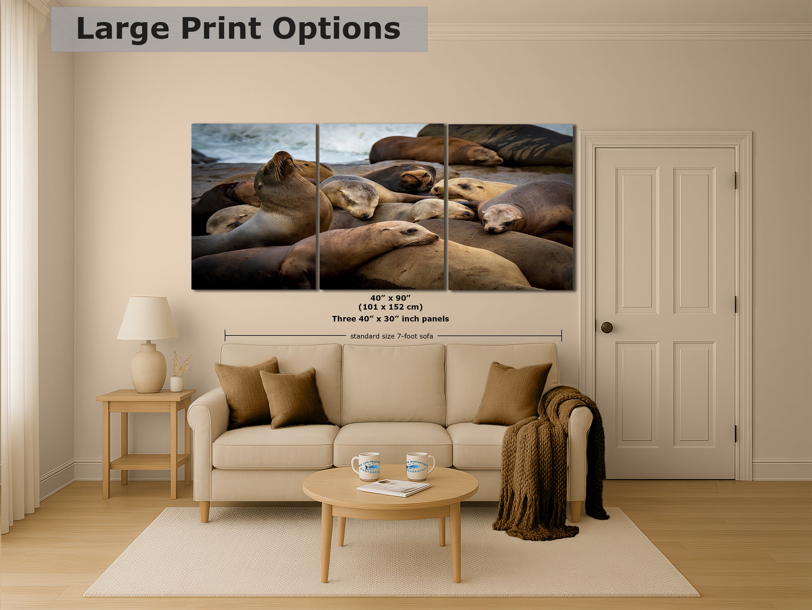 California Sea Lion Marine Mammal Wildlife Photography, Ocean Animals Wall Art, Nature Lover Gift, Marine Biology Artwork