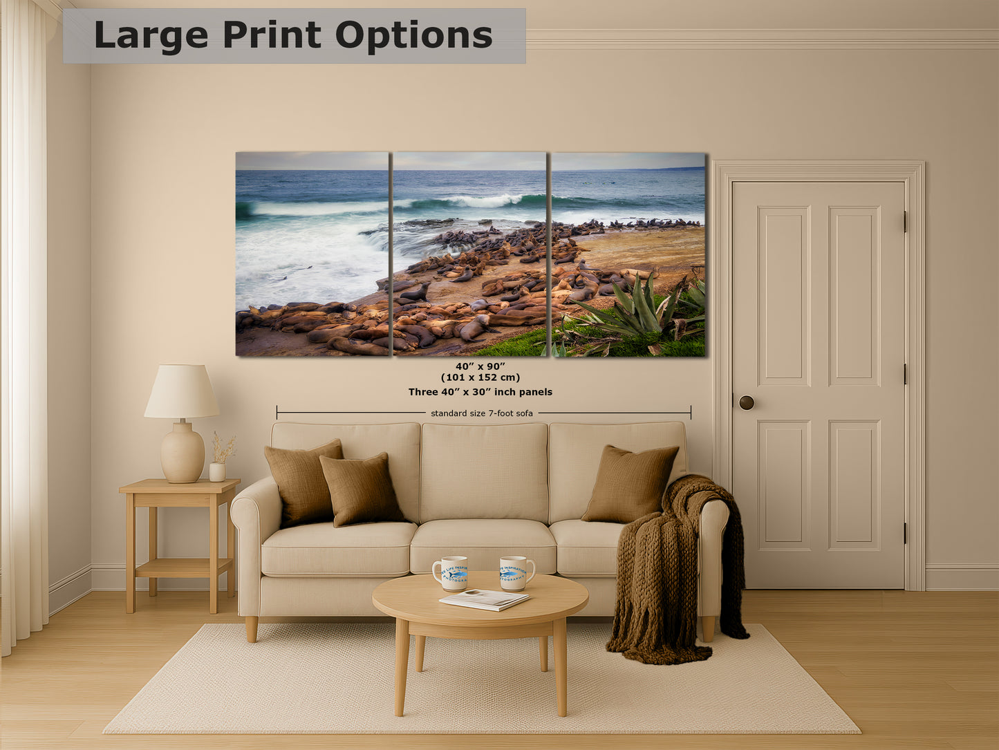 California Sea Lion Marine Mammal Wildlife Photography | Calming Nature Ocean Picture, Relaxation Artwork, La Jolla Coast, Nature Photo