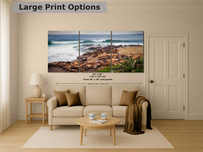 California Sea Lion Marine Mammal Wildlife Photography | Calming Nature Ocean Picture, Relaxation Artwork, La Jolla Coast, Nature Photo