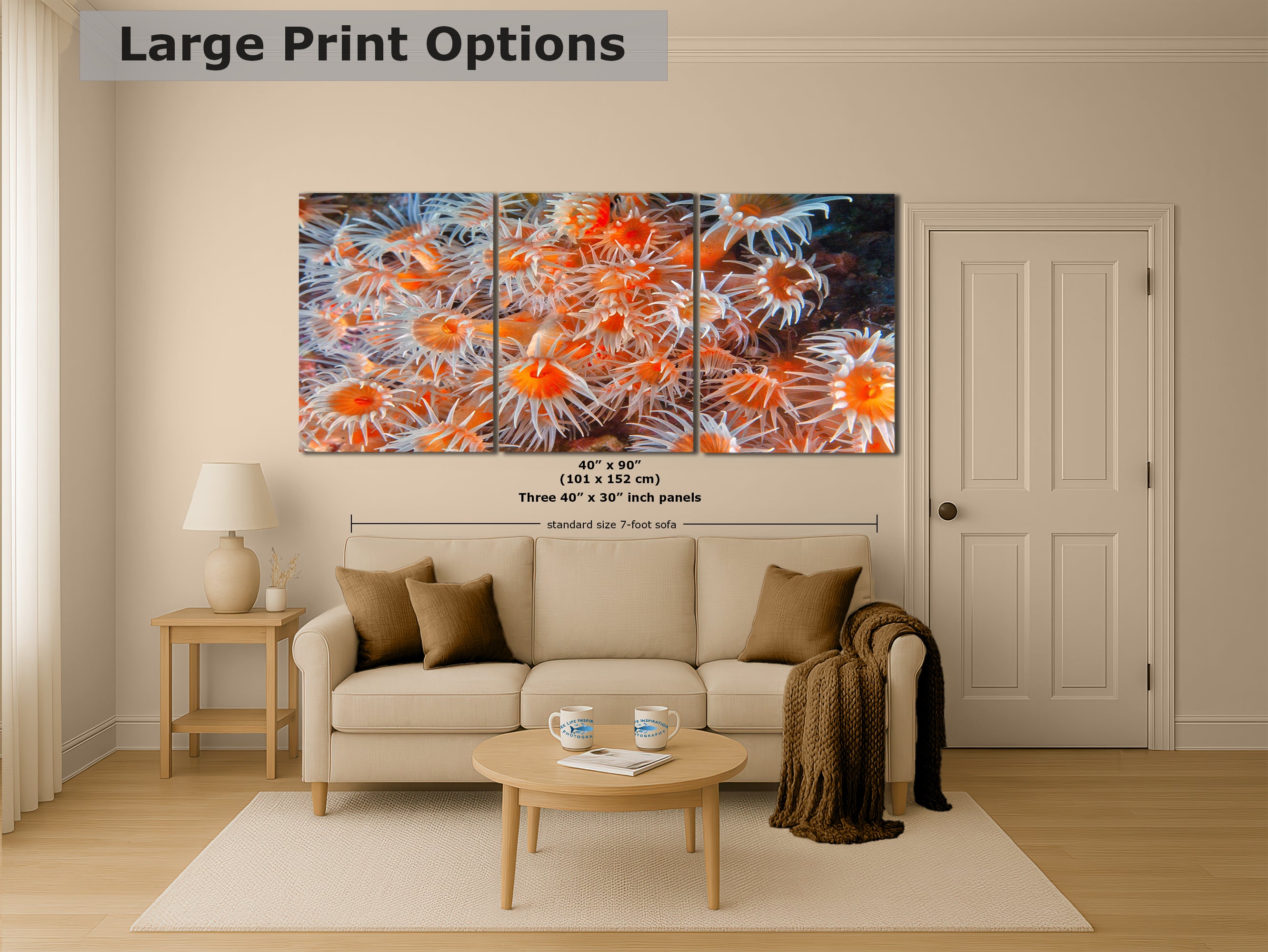 Sea Anemone Picture Ocean Life Underwater Scenery Nature Photo, Vibrant Coral Reef Wall Art, Marine Biology Gift for Ocean Lover