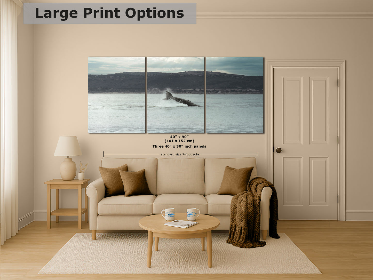 Humpback Whale Marine Mammal Wildlife Photography, Ocean Nature Art, Marine Conservation, Dolphin & Sea Life Gift, House Decor